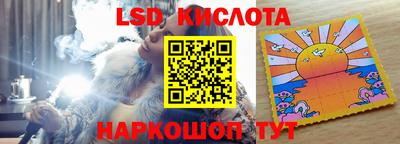 прущие грибы Новодвинск