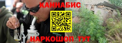 прущие грибы Новодвинск