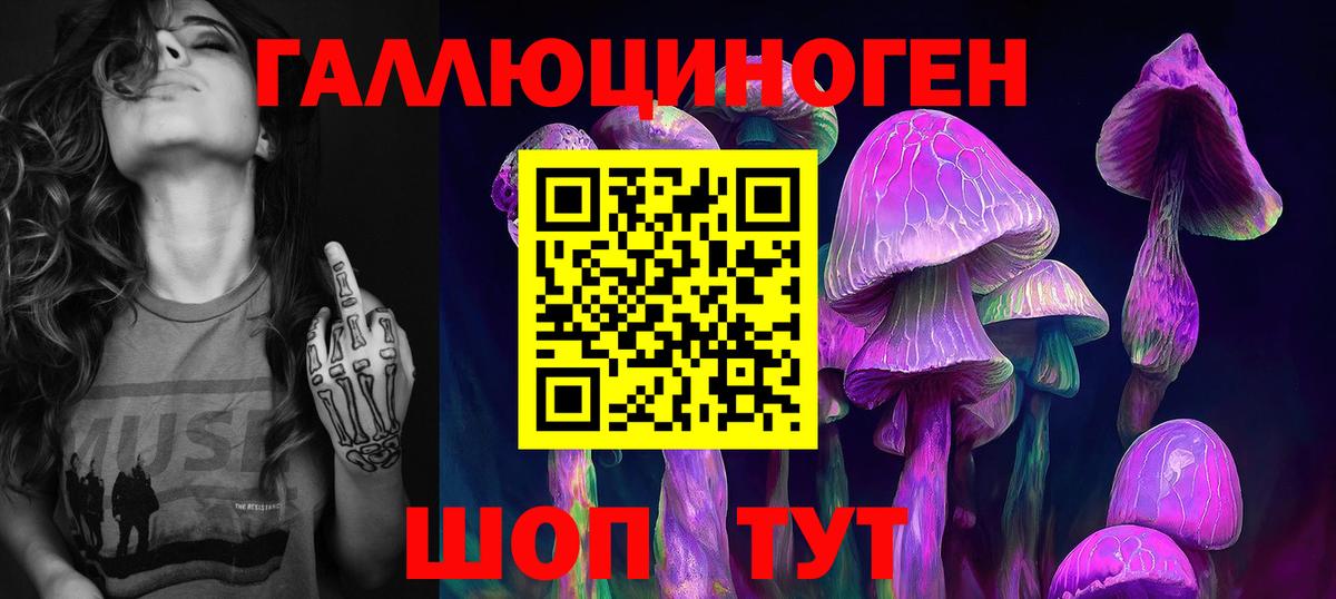 Псилоцибиновые грибы Psilocybe Дюртюли