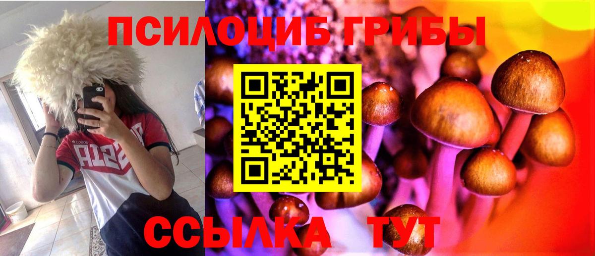 Псилоцибиновые грибы Psilocybine cubensis  Вход с VPN  Дюртюли  Галлюциногенные грибы ЛСД 
